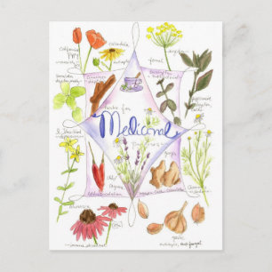 Medicinal Herb Echinacea Garlic Poppy Postcard