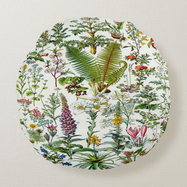 Medicinal Plants  Accent Pillow (Front)