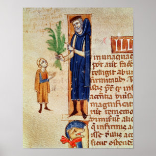 Medicinal Plants Poster