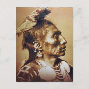 Medicine Crow Apsaroke Native American Indian Postcard