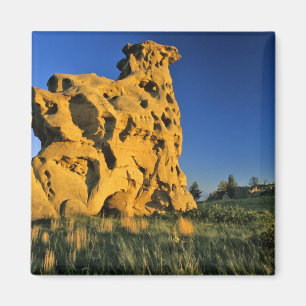 Medicine Rocks State Park near Ekalaka Montana Magnet