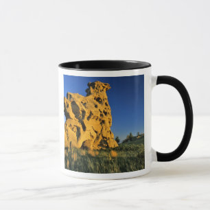 Medicine Rocks State Park near Ekalaka Montana Mug