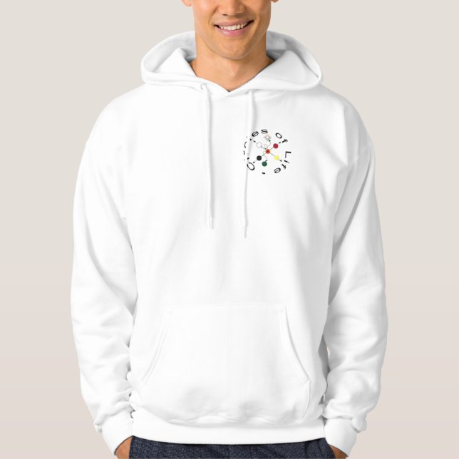 Medicine Wheel + COL SShirt Hoodie (Front)