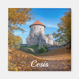 Medieval castle surrounded by forest magnet