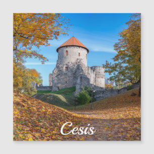 Medieval castle surrounded by forest magnet