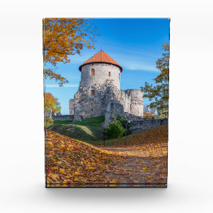 Medieval castle surrounded by forest photo block