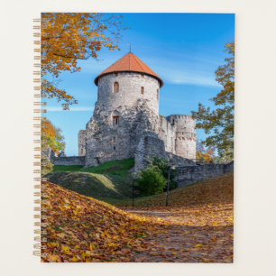 Medieval castle surrounded by forest planner