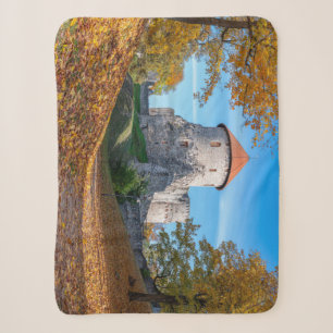 Medieval castle surrounded by forest sherpa blanket