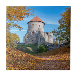Medieval castle surrounded by forest tile