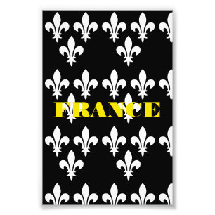 Medieval France Heraldic Print Monochromatic Art