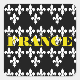 Medieval France Heraldic Print Monochromatic Art Square Sticker