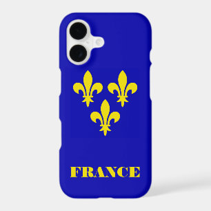 Medieval French Royal Standard Fidelity Heraldic