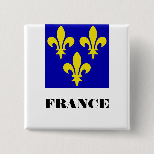 Medieval French Royal Standard Fidelity Heraldic 15 Cm Square Badge
