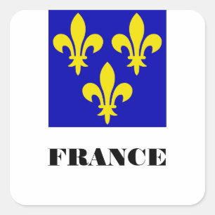 Medieval French Royal Standard Fidelity Heraldic Square Sticker
