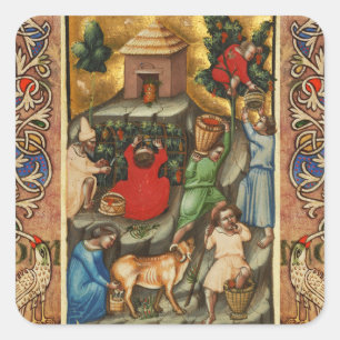 MEDIEVAL GRAPE VINEYARD HARVEST Antique Grapevine  Square Sticker