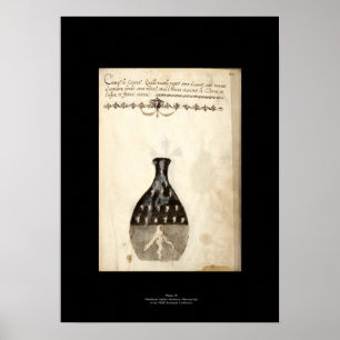 Medieval Italian Alchemy Poster Plate 10