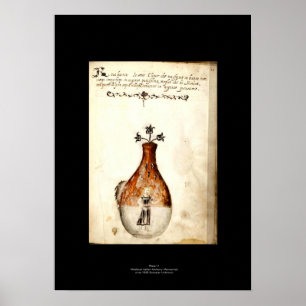 Medieval Italian Alchemy Poster Plate 11