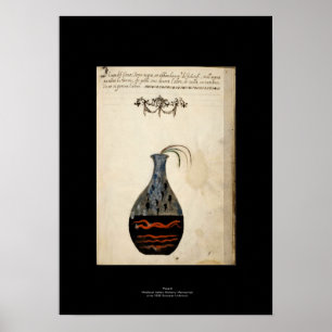 Medieval Italian Alchemy Poster Plate 6