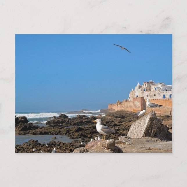 Medina of Essaouira and the Atlantic coast Postcard (Front)