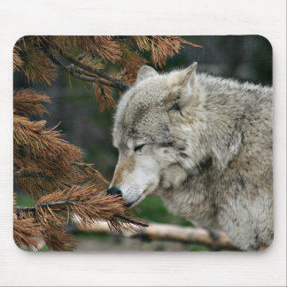 Meditating wolf mouse mat