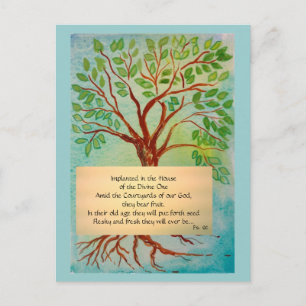 Meditation Card on Growing Older