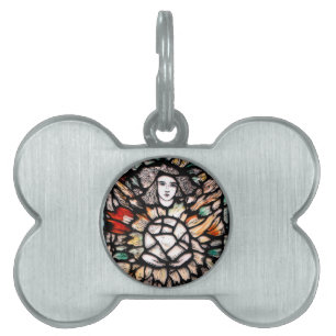 Meditation in colours. pet name tag