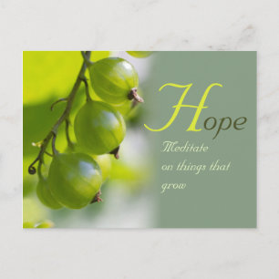 Meditation on things that grow CC0330 Postcard