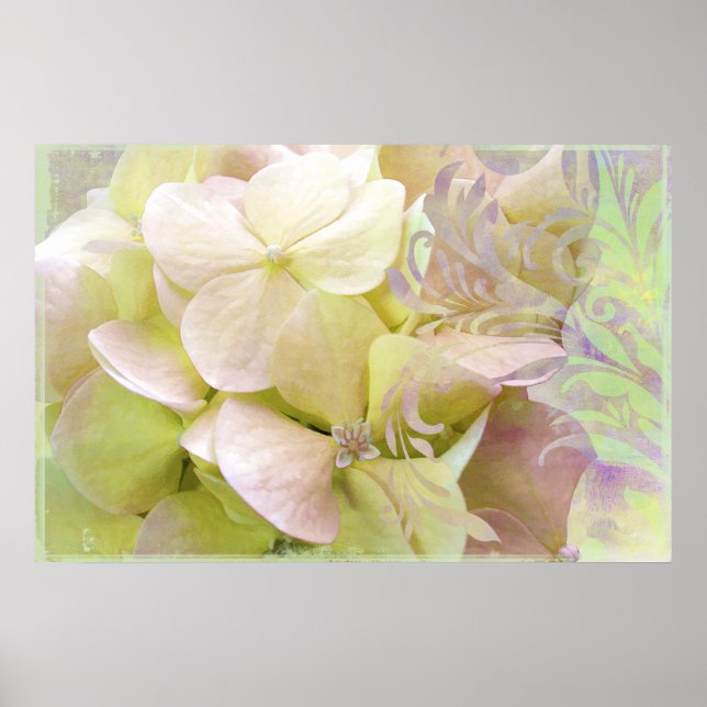 Meditation, Opalescent Hydrangea Poster (Front)