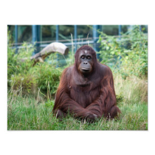 Meditation Photo Print