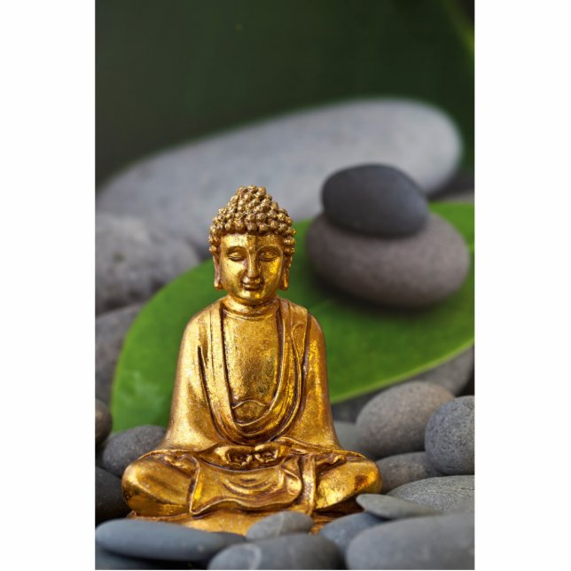 Meditation Standing Photo Sculpture (Front)