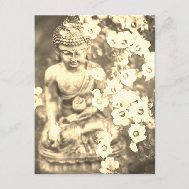 *~* Meditation Zen Buddha Meditate Flowers Gold Postcard (Front)