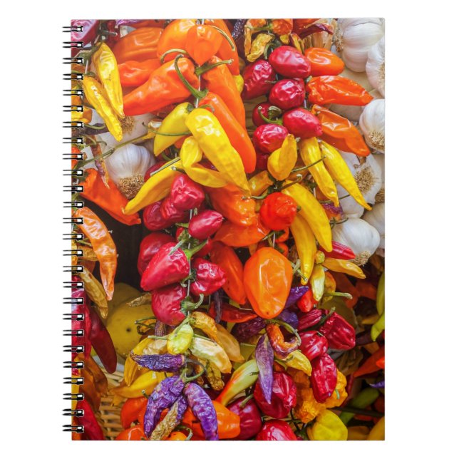 Mediterranean flavors notebook (Front)