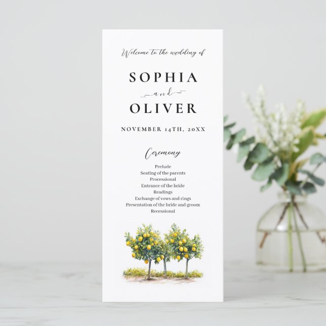 Mediterranean Lemon Watercolor Wedding Program  (Standing Front)