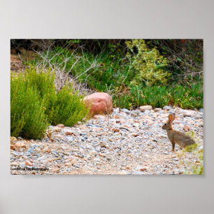Mediterranean Mornings Poster