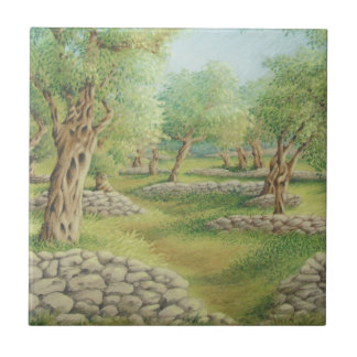 Mediterranean Olive Grove, Spain Ceramic Tile