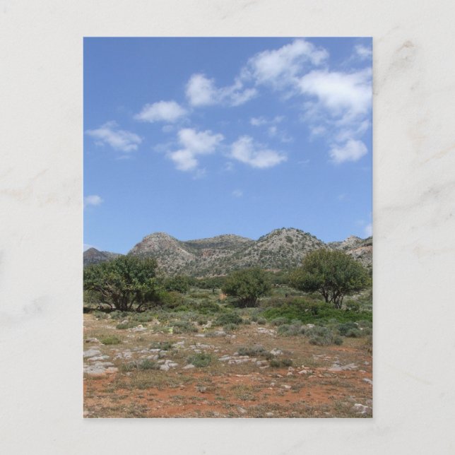 Mediterranean Postcard (Front)