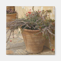 Mediterranean Pots Magnet