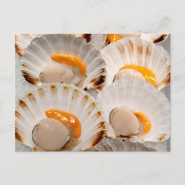 Mediterranean scallops  postcard (Front)