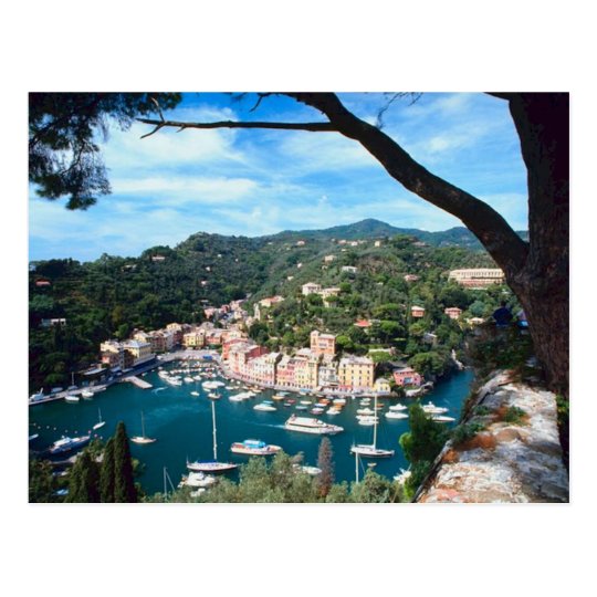 Mediterranean Sea Coast Italy Photograph Postcard