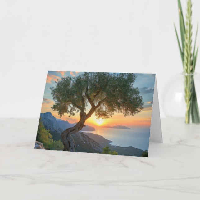 Mediterranean Sunset Over The Sea With Olive Tree Card (Front)
