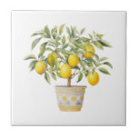 Mediterranean Tuscan Lemon Tree  Tile<br><div class="desc">Mediterranean design Tuscan style lemon tree in pot ceramic tile.</div>