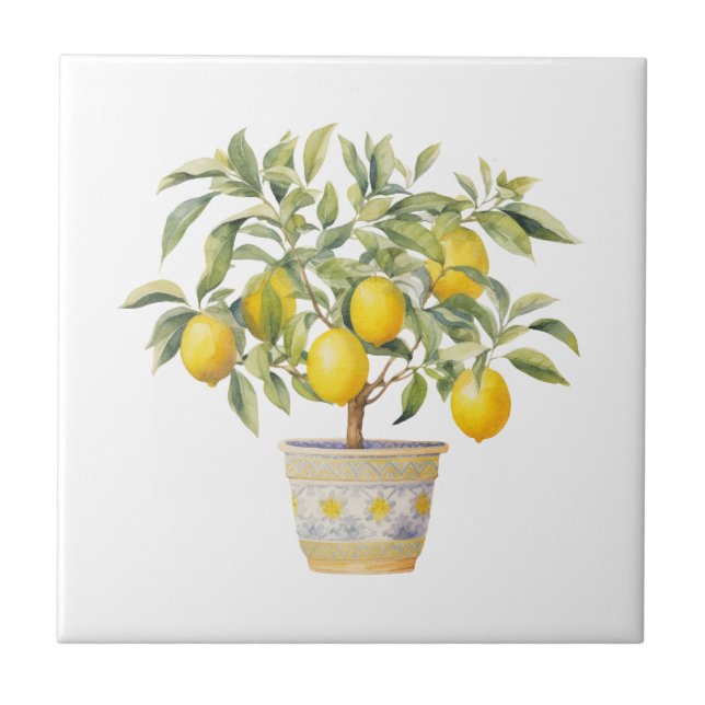 Mediterranean Tuscan Lemon Tree  Tile (Front)