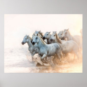 Mediterranean Water at Sunrise Poster