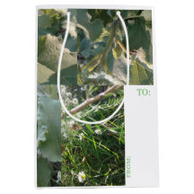 MEDIUM GIFT BAG/TAG /NATURE/#MMETROPOLIMdesign