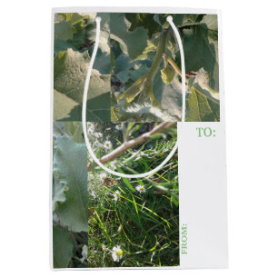 MEDIUM GIFT BAG/TAG /NATURE/#MMETROPOLIMdesign Bag