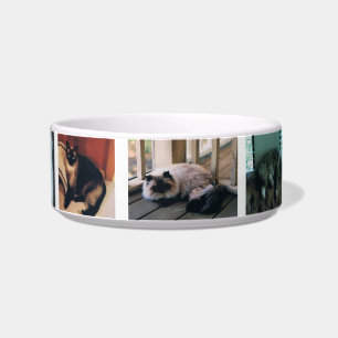 Medium Pet Bowl