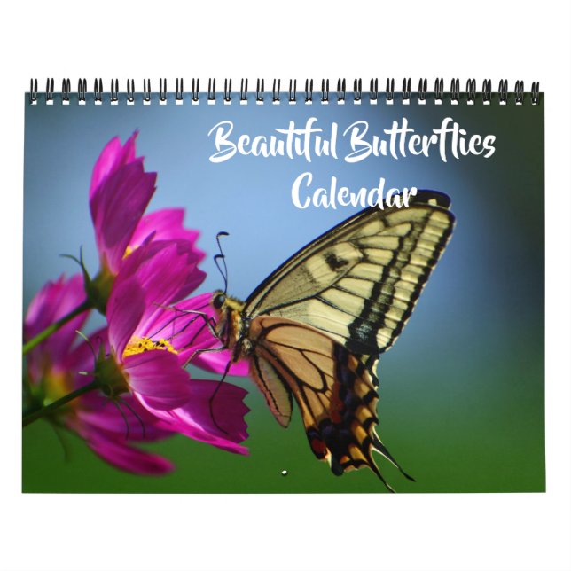 Medium Size Beautiful Butterflies Calendar (Cover)