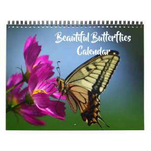 Medium Size Beautiful Butterflies Calendar