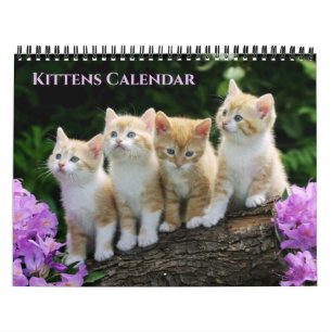 Medium Size Kittens Calendar
