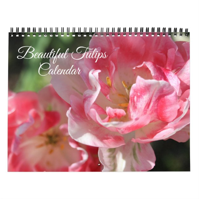 Medium Size Tulips Calendar (Cover)